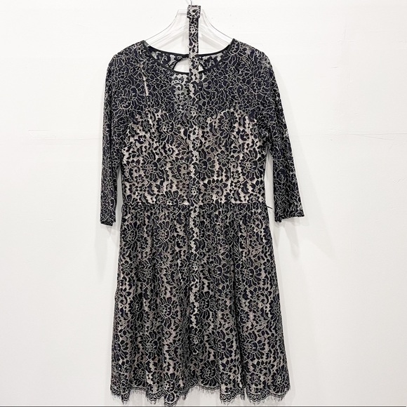 Eliza J Black Lace Fit & Flare Dress Knee Length Elbow Length Sleeve Size 14 - Picture 1 of 8
